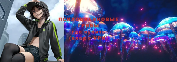 меф Богородицк