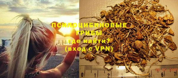 меф Богородицк
