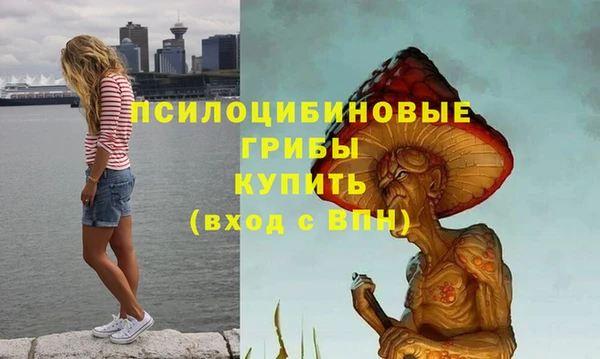 меф Богородицк