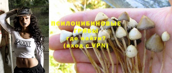 меф Богородицк