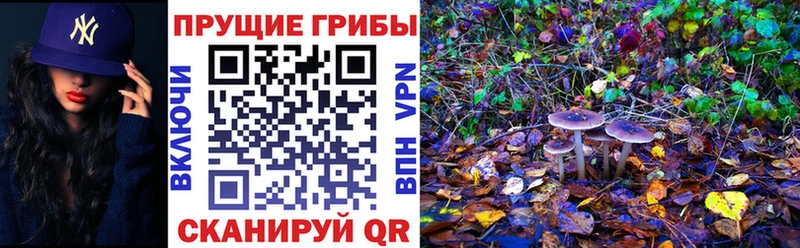 Псилоцибиновые грибы Magic Shrooms  Барнаул 